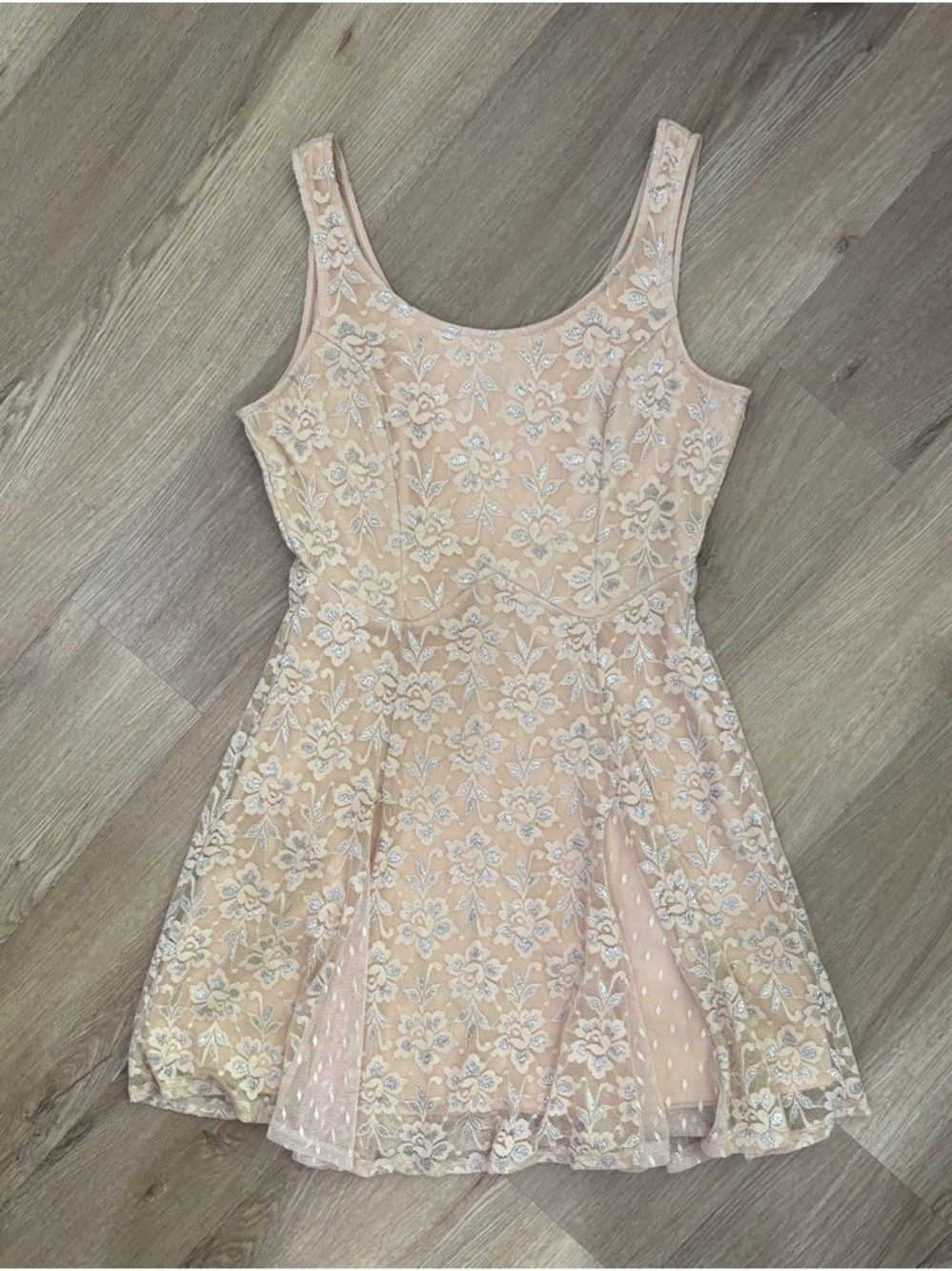 Lily Rose Blush Champagne Coquette Mesh Fit & Flare Party Skater Dress, Medium
